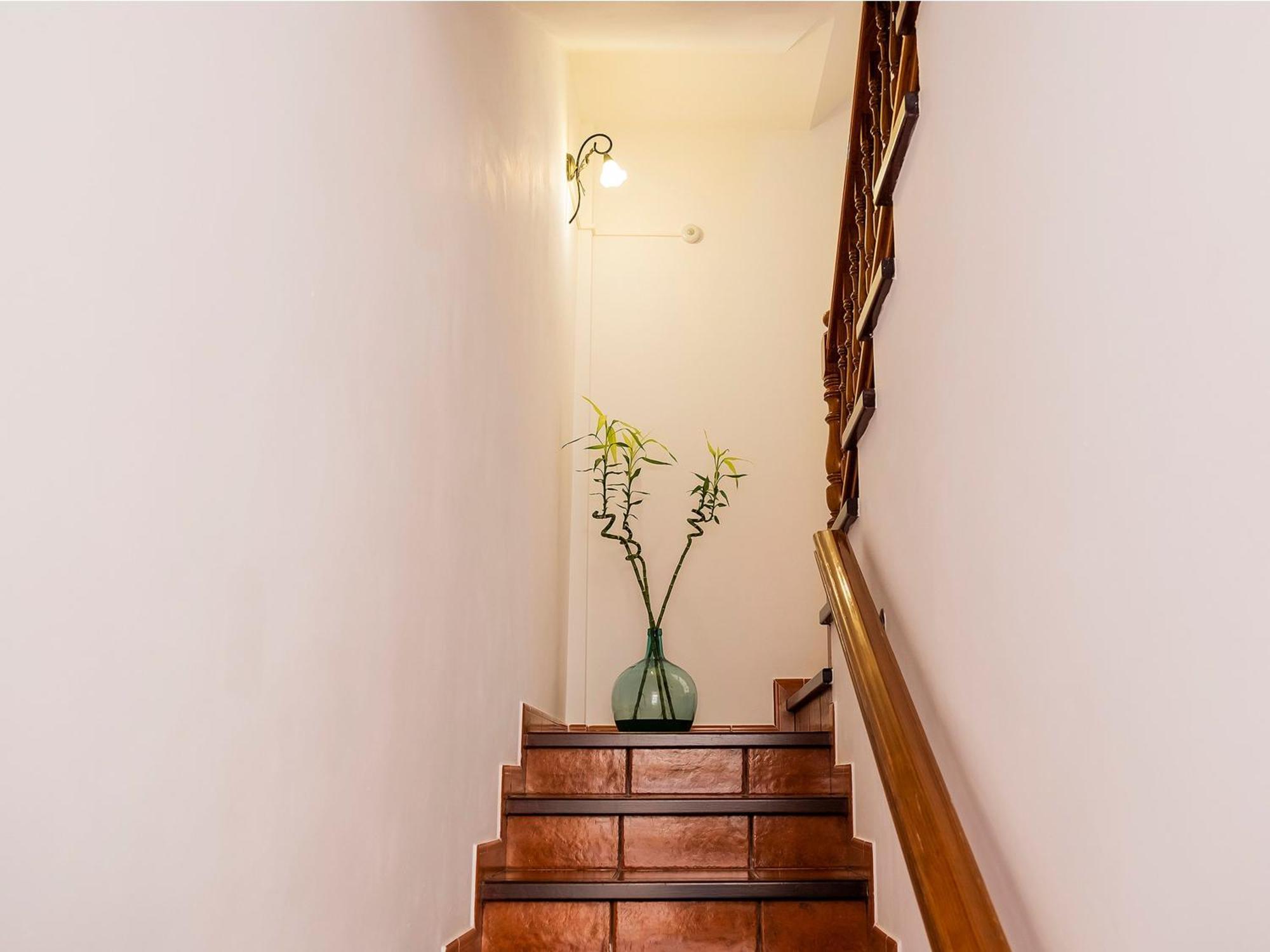 Live Buenavista Terrace Appartement Buenavista Del Norte Buitenkant foto